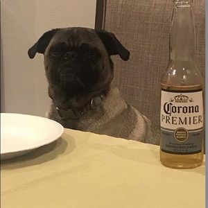 Meet your Posher, Jared